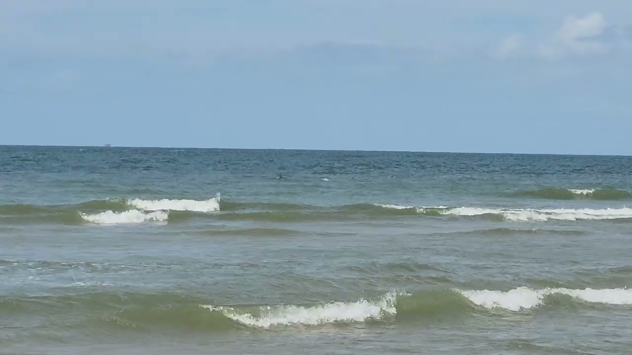 Dolphins Jumping & Tail Slapping at First Landing State Park Virginia Beach, Va 