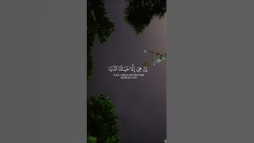 القارئ: فارس عباد | سورة المؤمنون | قرأن كريم | راحة نفسية | قرآن