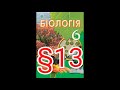 Параграф 13 &quot;Корисні бактерії&quot;//Шкільна програма 6 клас.