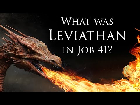 What was Leviathan in Job 41?