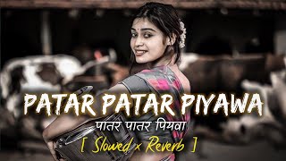 Patar Patar Piyawa Palang Par |🎧| Bhojpuri (Slowed   Reverb) Songs / #slowedandreverb  #bhojpurisong