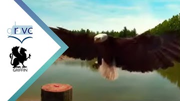 Asynchronous  Event-based Line  Tracking  for  Time-to-ContactManeuvers  in  UAS