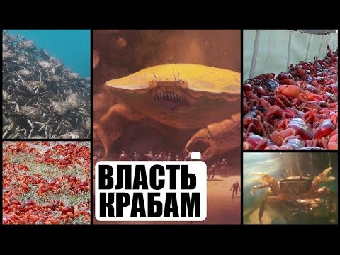 Видео: Великий Краб в Feed and Grow: Fish