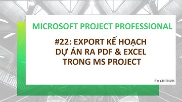 MS Project Professional: #22 Lưu Trữ Kế Hoạch Dự Án Theo Định Dạng PDF & Excel trong MS Project