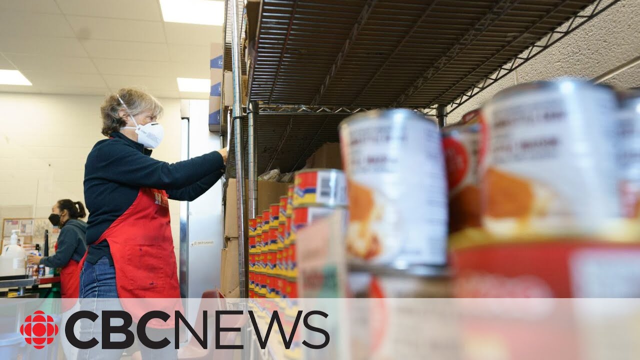 Food bank usage across Canada hit all-time high, report says