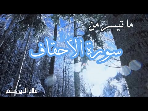 قال ربي أوزعني أن أشكر نعمتك التي أنعمت علي وعلى والدي  صلاح الدين مغنم