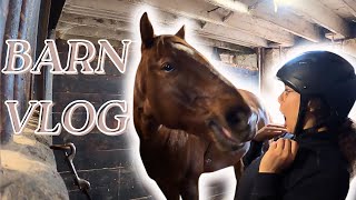 A CHAOTIC RIDING LESSON! You'll Never Believe What Happened...