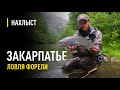 Ловля форели на стримеры в Закарпатье /  Fly fishing with streamer in Carpathians river