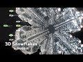雪の結晶の成長シミュレーションを実装する配信