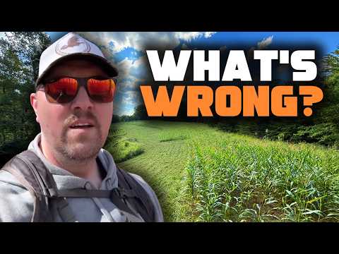 Recognize Your Farm’s Problems (Before It’s Too Late) | Farm Companion