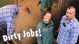 Dirty JOBS Horse Stables Clean Up DIY