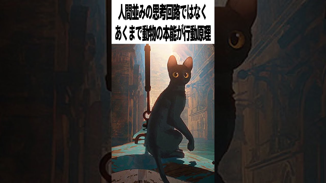 激辛採点】映画『FLOW』の評価は？アカデミー受賞長編猫アニメ