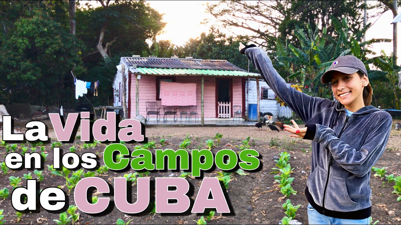 La Vida en los CAMPOS de CUBA🇨🇺/Una Tarde en el Campo de mi Abuelo