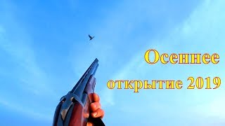 Осеннее открытие без основного трофея.