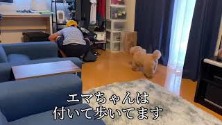 エマちゃんのランドセル君への態度と、またマツエク