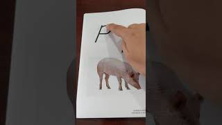 ABC Tracing Book
