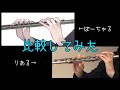 #25【フルート比較動画】バーチャルとリアルの指の動きを比較してみた（命ばっかり）