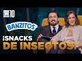 ¿Los tiburones comen insectos? 🦈🦗 | Temporada 10 | Shark Tank México