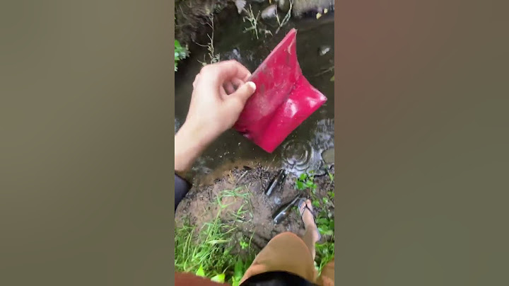 I found Wallet in river #shorts #trending
