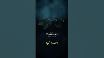 إنك ميت وإنهم ميتون | سورة الزمر | القارئ ياسر الدوسري| قرآن