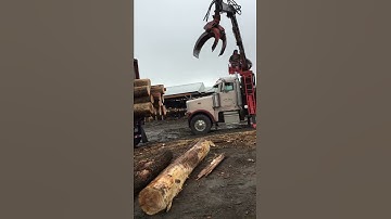 Loading Ash Logs