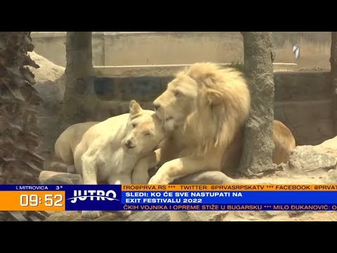 Video: Tko su bili prvi plaćeni probacijski službenici u Sjedinjenim Državama?