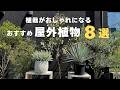 【植栽で知っておきたい！】お庭がおしゃれになる屋外植物8選を紹介！