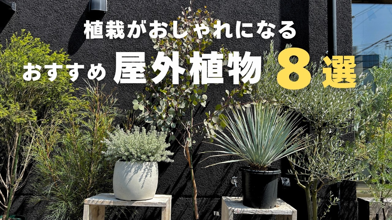 Things you should know about planting!] Introducing 8 outdoor