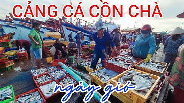 10-3 Ngày gió Khám phá Chợ Cá Cồn Chà ở Cảng Cá Phan Thiết Hải sản tươi Ngon ở Bình Thuận