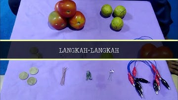 PRAKTIKUM SEL VOLTA SEDERHANA