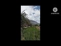 Apple Season in my Village Hunza | Village life Watering 🍎 Garden @autogeartech9436