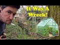 We dismantled the green house in the railway bridge garden