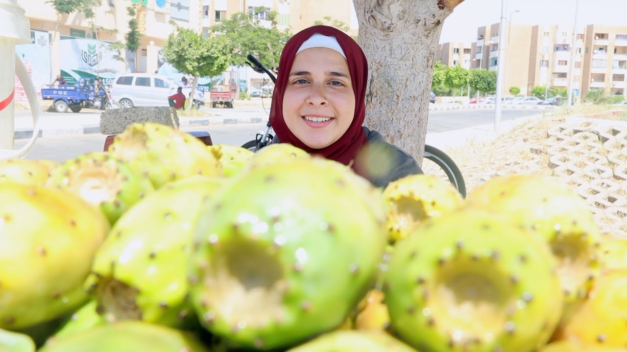 بائعة تين شوكي بدرجة طالبة بأكاديمية الطيران: علطول شقيانة