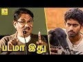 படமா இது : பரியேறும் பெருமாள் பற்றி பாரதிராஜா : Barathiraja praises Pariyerum Perumal