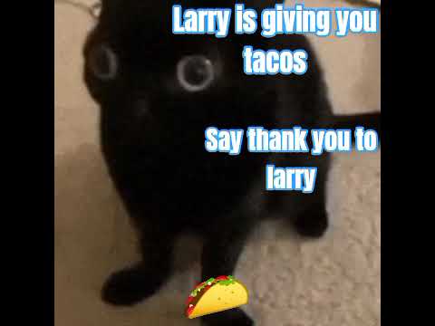 Larry Is Giving You Tacos Fypviral Fyp Viral Fypage Fypyoutube Fypp