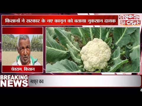 शामली में सीएससी से असंतुष्ट किसान से खड़ी फसल पर चलाया ट्रैक्टर, कृषि बिल को बताया बेकार