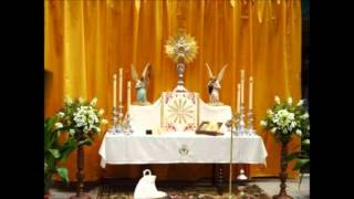 Video-Miniaturansicht von „Gozate delante del Señor... alabanza catolica...“