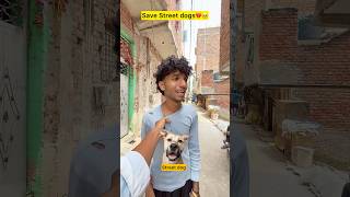 Save Street Dogs