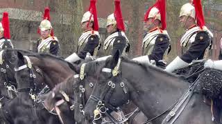 Royal Horse GuardsTraining at Hyde Park #london #incident #prank #funny #queen #uk #training #horse