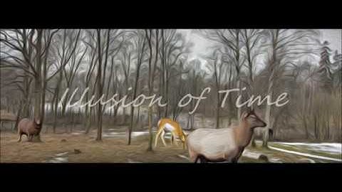 Illusion of Time