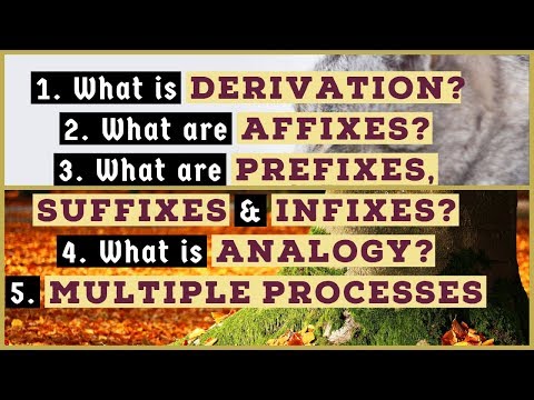 Derivation | Affixes | Prefixes | Suffixes | Infixes | Analogy | Multiple Processes | Word Formation