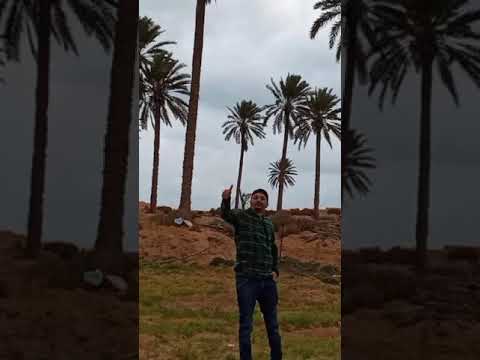 وفاة الفنان وسيم الشاعري