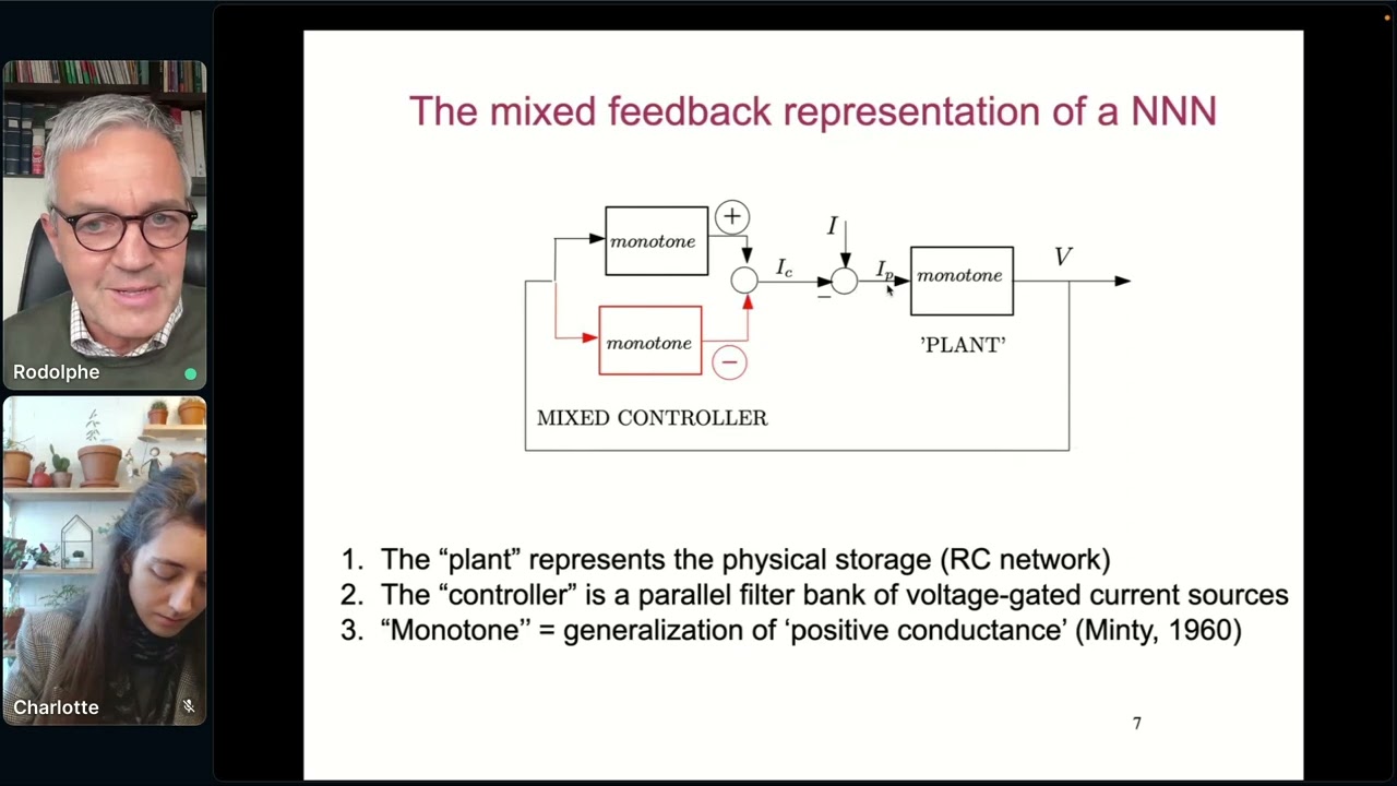 Rodolphe Sepulchre - Neuromorphic learning: a control perspective