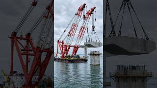 Steel Monsters of the Sea The World Biggest Crane Ships
