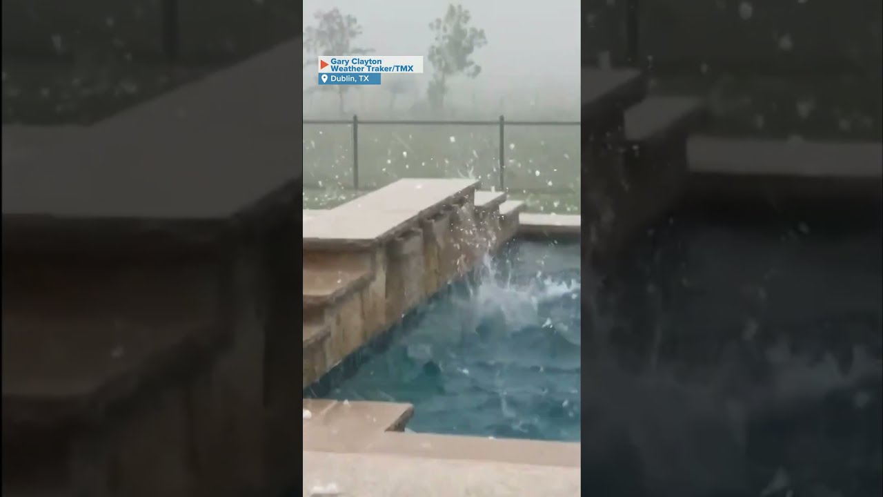 Cow Runs For Cover As Massive Hailstorm Pelts Texas Backyard