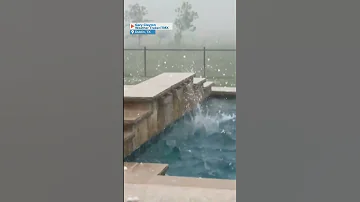 Cow Runs For Cover As Massive Hailstorm Pelts Texas Backyard 