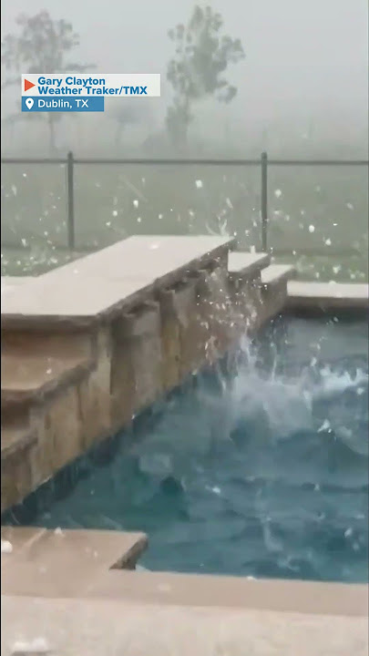 Cow Runs For Cover As Massive Hailstorm Pelts Texas Backyard