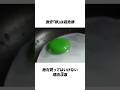 激安卵を絶対買ってはいけない理由3選