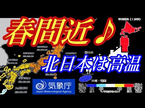 「春は近い♪」気象庁の1ヶ月予報で2月8日から3月7日まで北日本の予想気温が高い予想