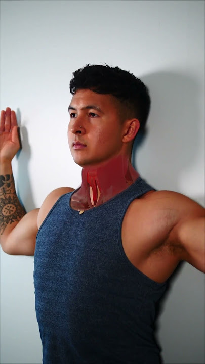 PERFECT 5 Minute Posture Routine (FIX YOUR SIT!)